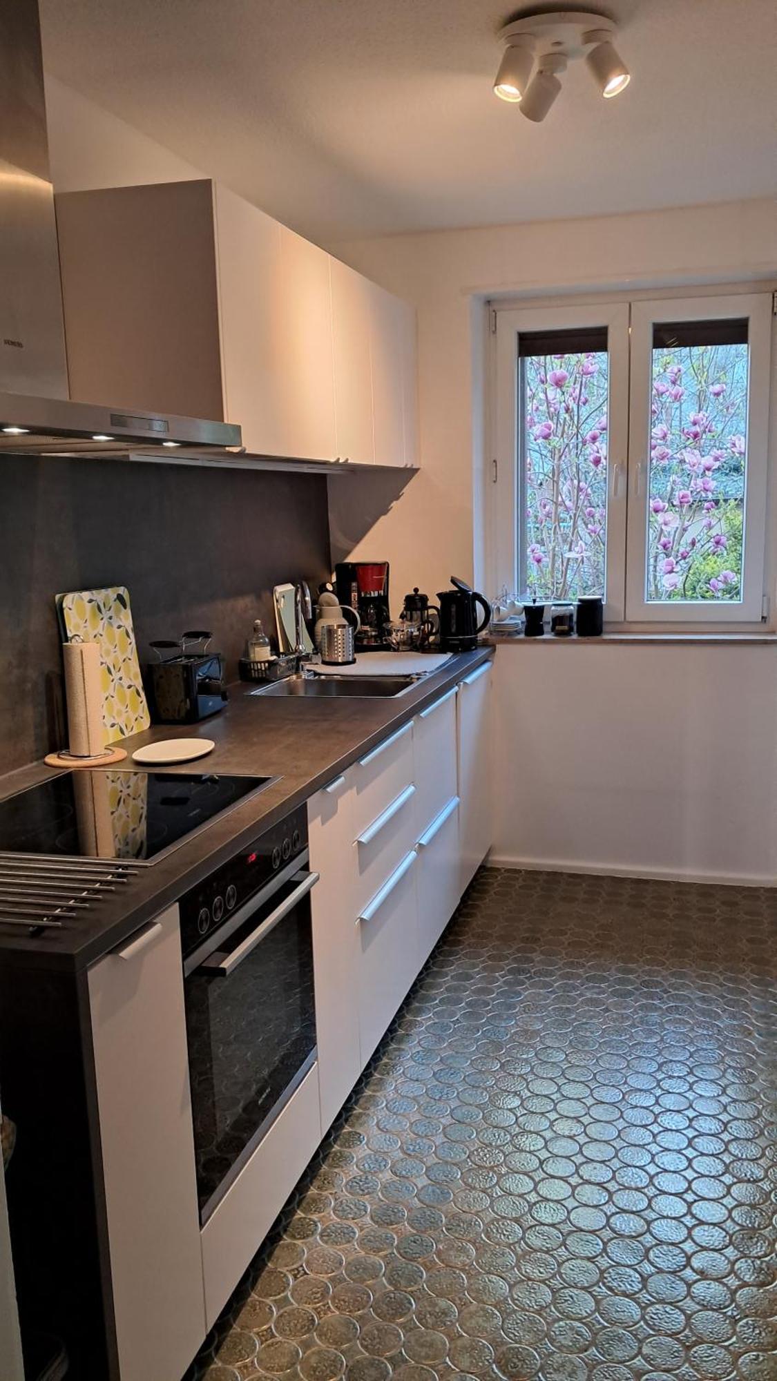 Wohnung Medicus, 3 Zkb, Balkon, Garten, Naehe Stadtpark, Ruhig Kaiserslautern Exterior photo